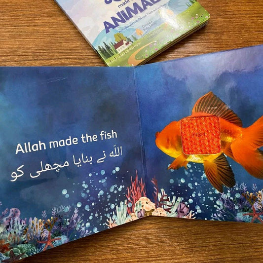 Allah made the animals touch and feel book