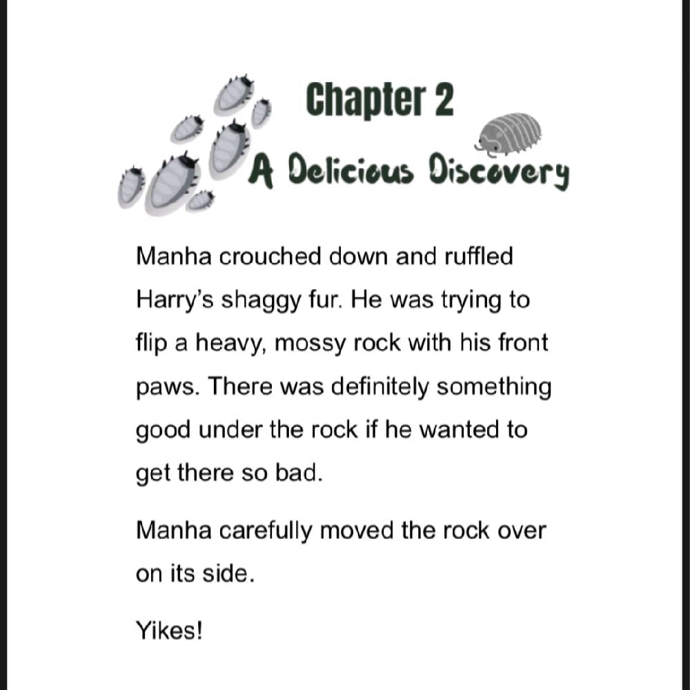 Manha Khan - Hikes in the Himalayas