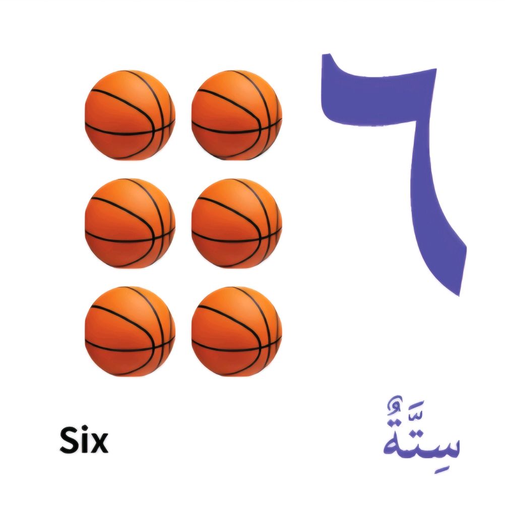 My first bilingual Arabic-English library