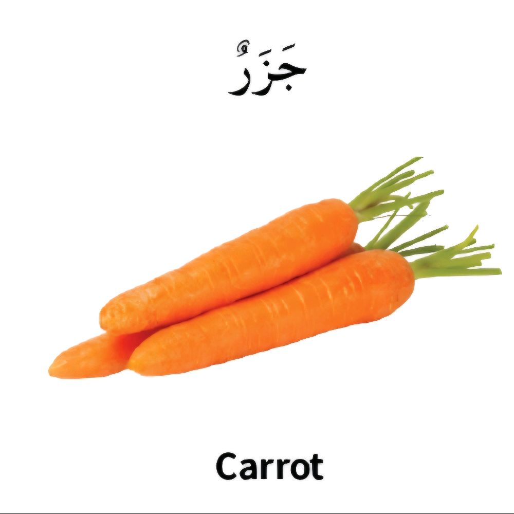 My first bilingual Arabic-English library