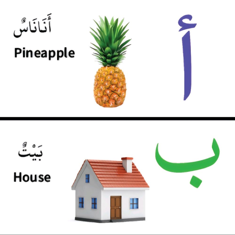 My first bilingual Arabic-English library