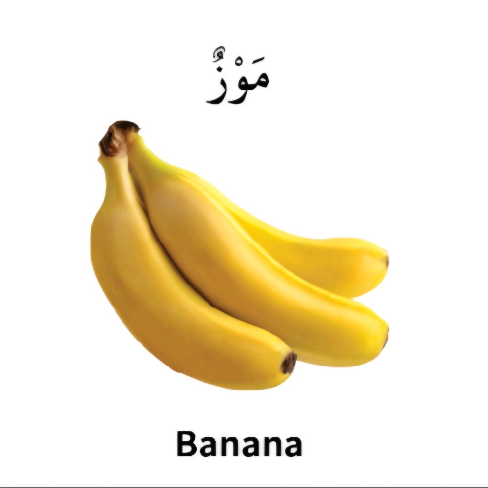 My first bilingual Arabic-English library