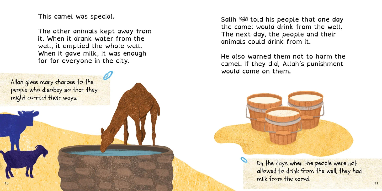 Islamic book about Prophet Salih AS