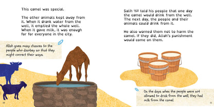 Islamic book about Prophet Salih AS