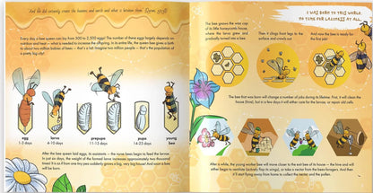 Illustrated bee life cycle and worker bee jobs in an Islamic science book for children