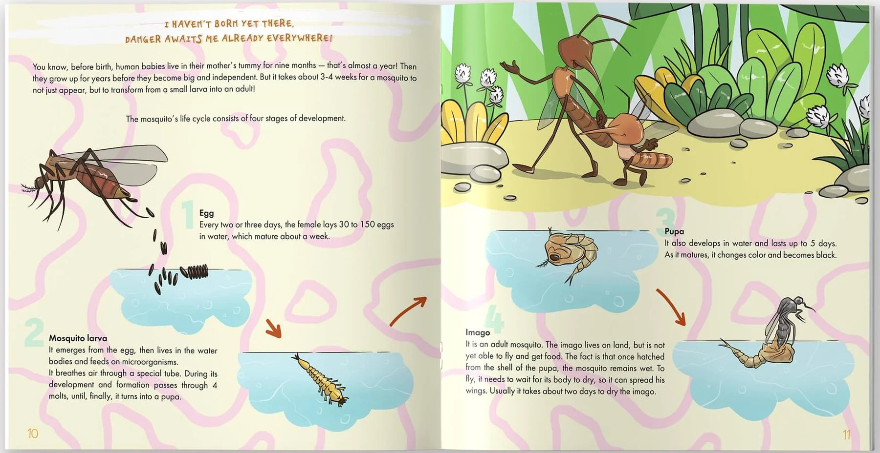 inside-the-mosquito-is-allahs-amazing-creation-book.jpg