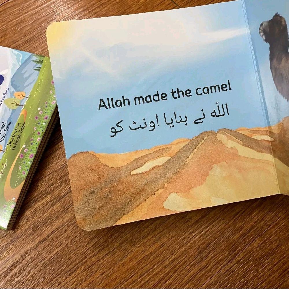 Allah made the animals touch and feel book