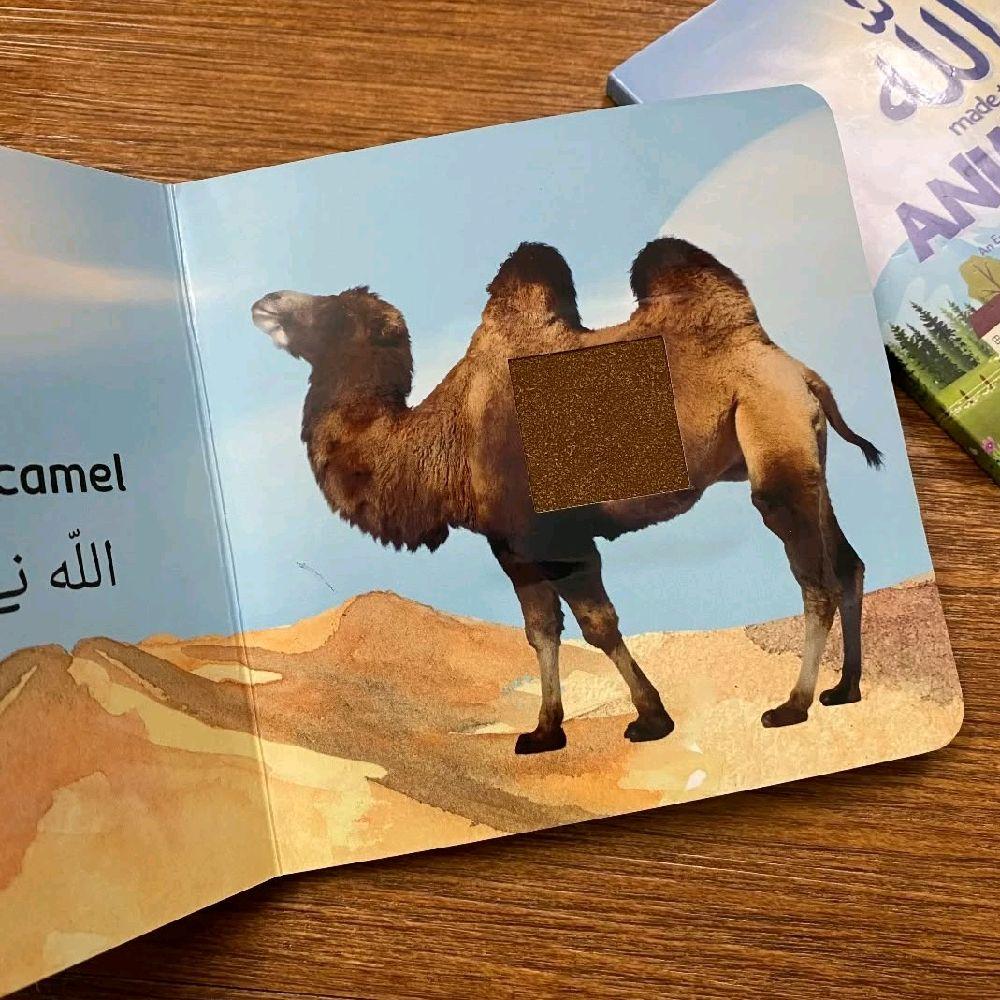 Allah made the animals touch and feel book