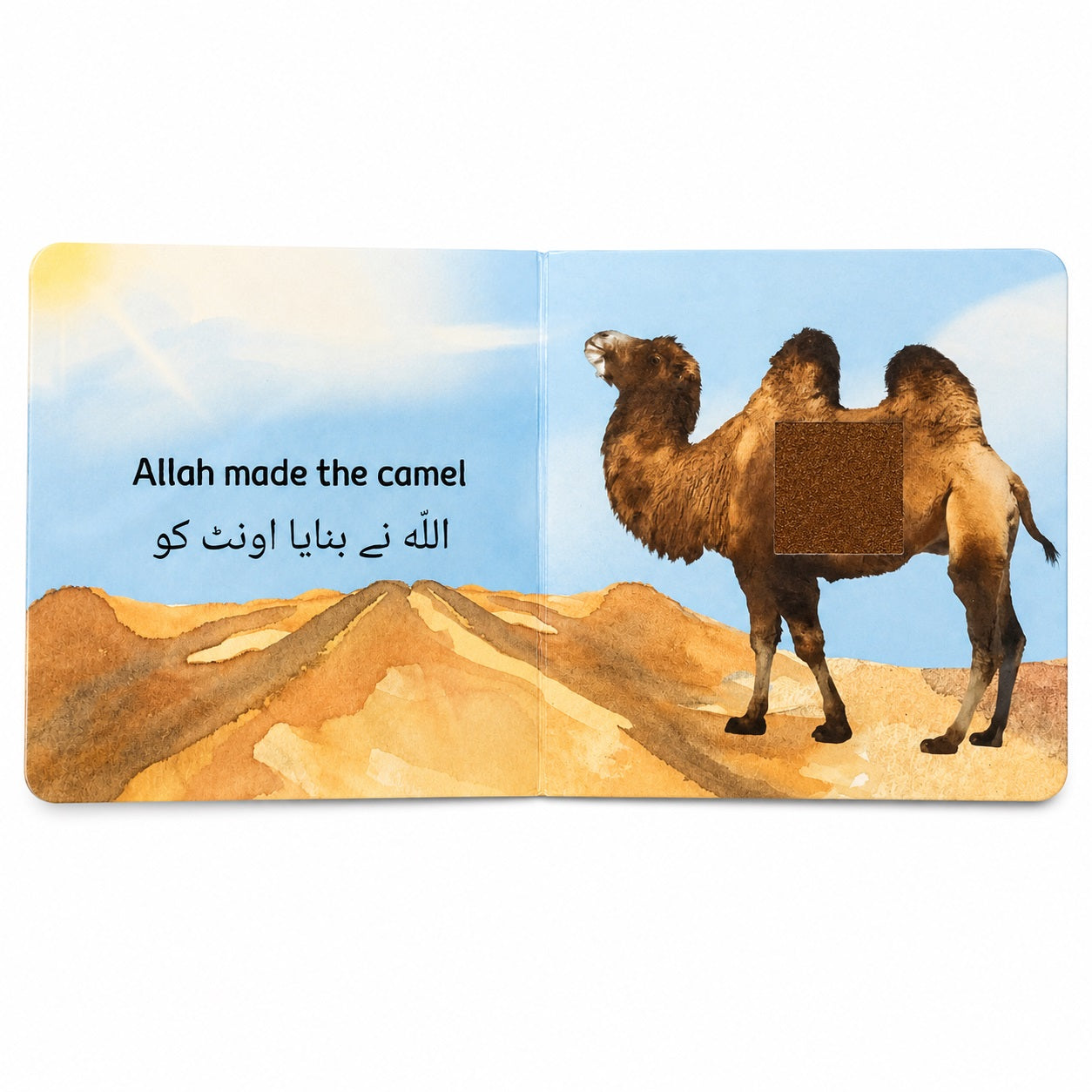 Inside page of Allah Made the Animals touch and feel book showing a camel with bilingual Urdu and English text