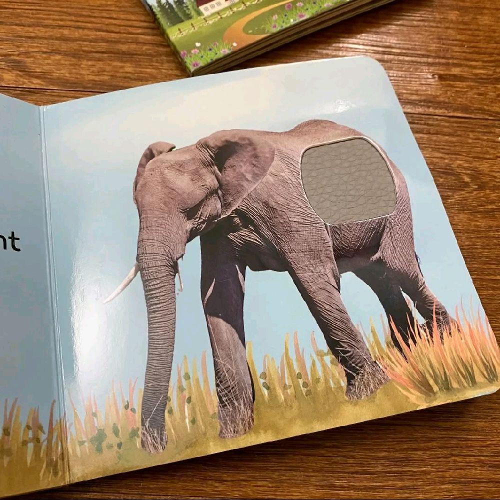Allah made the animals touch and feel book
