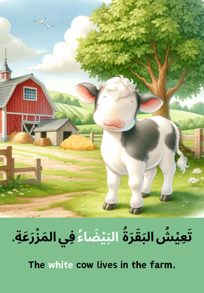 Animals from the Quran – Arabic Reader
