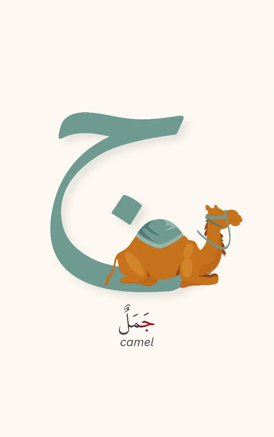 arabic alphabet tajweed flashcards for kids