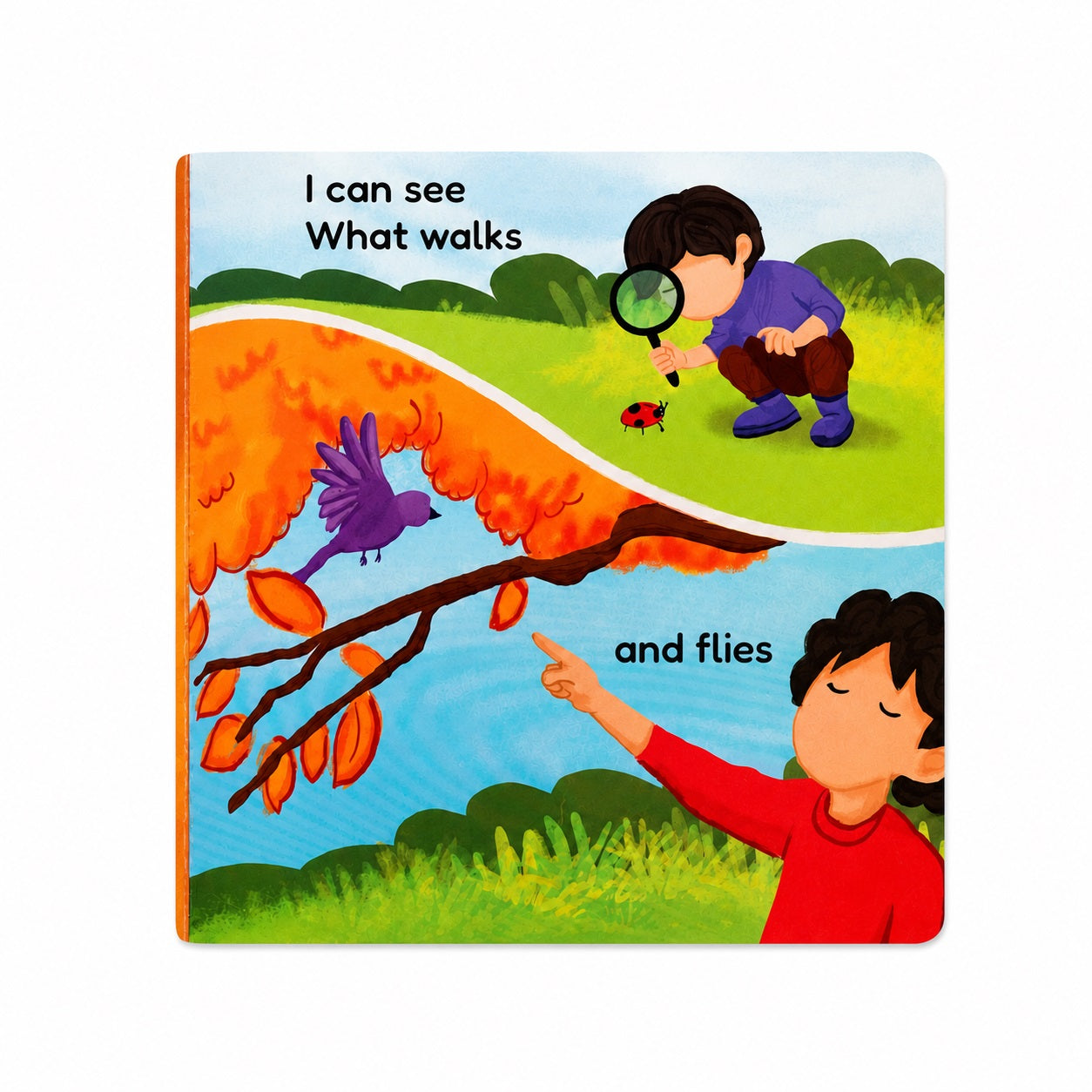 Inside page of Five Senses Five Blessings board book showing children learning what walks and flies