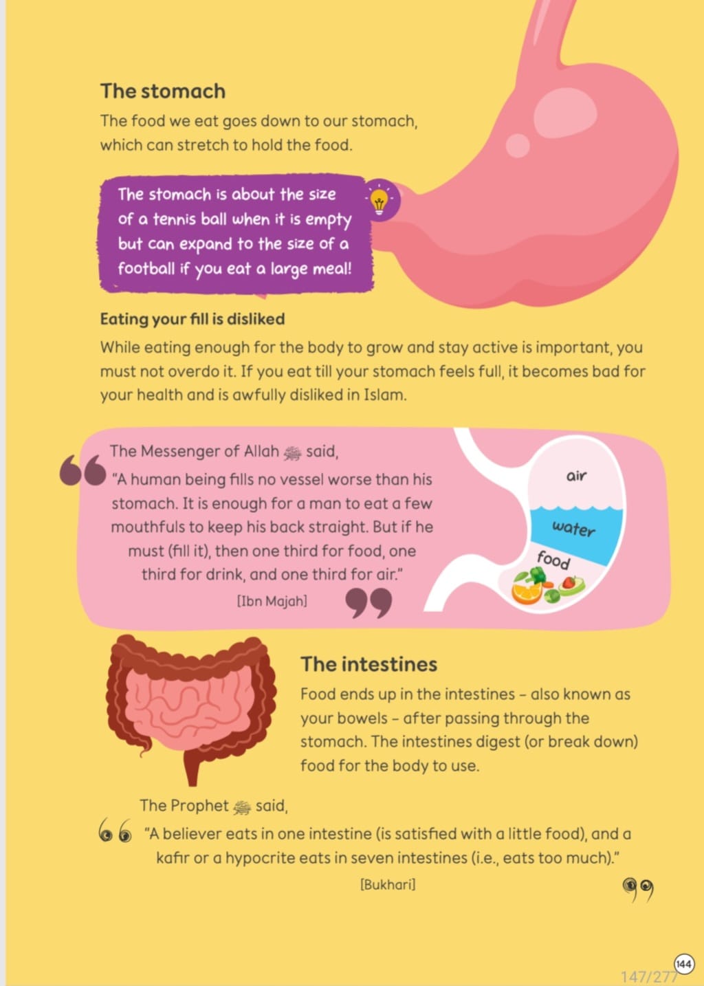 Human body page explaining the stomach and intestines with Islamic guidance on eating
